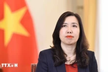 越南外交部副部长黎氏秋姮。（图片来源：越通社）
