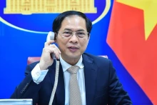 越南外交部长裴青山。（图片来源：越通社）