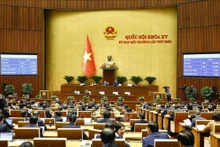 越南第十五届国会第九次特别会议表决通过《政府组织法》。（图片来源：越通社）