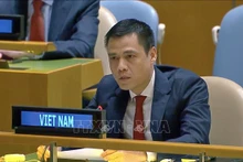 越南常驻联合国代表团团长邓黄江大使。（图片来源：越通社）