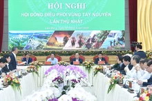 越南政府副总理陈流光主持会议。（图片来源：VGP）