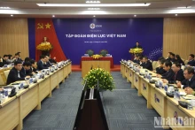 越南政府总理范明正同越南电力集团领导举行工作会议。