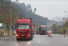 越南谅山省友谊口岸进出口和出入境活动全面恢复。