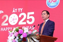 越南政府副总理、外交部长裴青山在会上发表讲话。（图片来源：越通社）