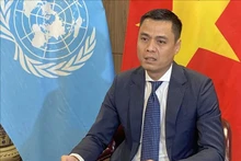 越南常驻联合国代表团团长邓黄江大使。