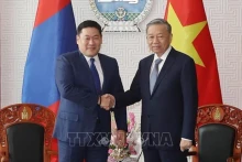 越共中央总书记、国家主席苏林会见蒙古国总理罗布桑那木斯来·奥云额尔登。（图片来源：越通社）