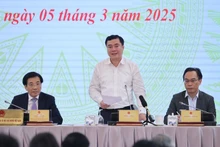 越南工贸部副部长阮生日新。