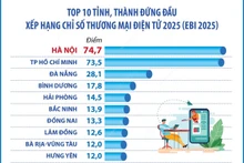 附图：河内位居2025年电子商务指数排行榜首位。