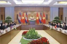 越南国会主席王廷惠同柬埔寨王国国会主席昆索达莉举行会谈。（图片来源：越通社）