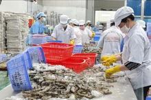 附图：越南农林水产品对华出口占比超过22%。