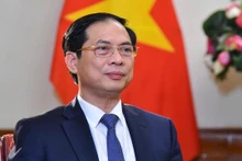 越南外交部部长裴青山。