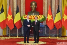 越南国家主席梁强与比利时国王菲利普·利奥波德·路易·马里。