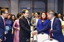 越南国会主席陈青敏在乌兹别克斯坦会见旅乌越南人社群。(图片来源:越通社)