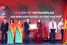越南国家副主席武氏映春向越通社Vietnamplus新闻网授予一等劳动勋章。