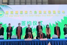 双方有关单位、企业签订合作协议。（杜有兴 摄）