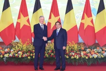 越南政府总理范明正会见比利时国王菲利普【组图】