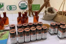 附图：越南是世界上最大的肉桂生产国，种植面积约18万公顷。