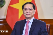 越南政府副总理兼外交部长、越中双边合作指导委员会越方主席裴青山。（图片来源：越通社）