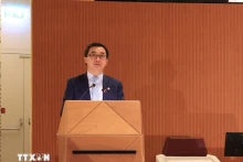 越南卫生部副部长陈文舜在会上发表讲话。（图片来源：越通社）