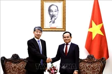 越南政府副总理陈流光会见国际原子能机构副总干事刘华。（图片来源：越通社）