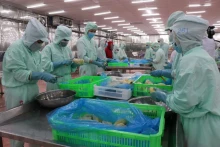 附图：出口农产品加工。