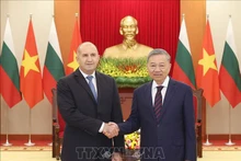 越共中央总书记苏林会见保加利亚总统鲁门·拉德夫。（图片来源：越通社）
