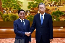 中国全国人大常委会委员长赵乐际会见越共中央政治局委员、中央书记处书记、中央检查委员会主任陈锦秀。（图片来源：越通社）