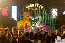 众多民众参观2025乙巳年春节阮惠花街【组图】