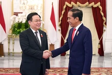 越南国会主席王廷惠会见印尼总统佐科·维多多。(图片来源:越通社)
