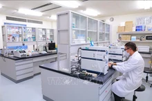 旅居日本的越南科学家、日本广岛大学的陈登春教授。
