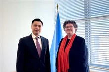 越南常驻联合国代表团团长邓黄江大使与联合国副秘书长、法律事务办公室主任埃莉诺·哈马舍尔德。（图片来源：越通社）