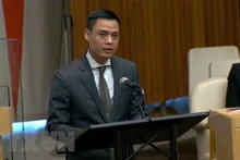 越南常驻联合国代表团团长邓黄江大使在活动上发表讲话。