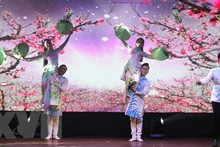 “家乡之歌”文艺晚会为旅居捷克越南人献上充满民族特色的文艺盛会。