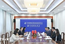 越南驻中国大使范青平与中国国际贸易促进委员会会长任鸿斌举行会谈。（图片来源：越通社）
