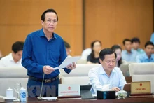 越南劳动荣军与社会部部长陶玉蓉在会上发表讲话。（图片来源：越通社）