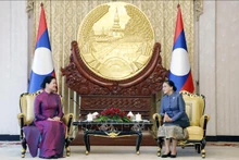 越南妇女联合会主席何氏娥礼节性拜访老挝国家副主席巴妮•雅陶都。