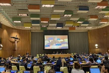越南常驻联合国安理会代表团副团长阮芳茶大使在会议上发表讲话。（图片来源：越通社）