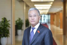 越南国会对外委员会副主任敦俊峰。