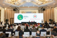 红十字会与红新月会国际联合会第十一届亚太地区会议闭幕式。（图片来源：越通社）