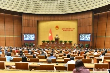 第十五届国会第六次会议一场讨论会。