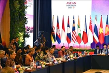 与会代表。（图片来源：越通社）