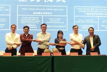 与会代表。（图片来源：越通社）