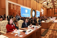 越南国家副主席武氏映春出席第19届不结盟运动峰会。（图片来源：qdnd.vn）