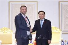 越南国会主席王廷惠会见乌克兰议会第一副议长奥列克桑德尔。（图片来源：越通社）