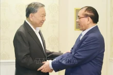 苏林总书记和原越共中央总书记农德孟。（图片来源：越通社）