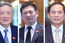新任政府副总理阮和平、胡德福、裴青山。