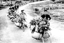 驮货车 - 奠边府战役的‘运输之王’。（图片来源：越通社）