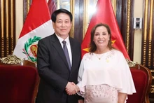 越南国家主席梁强和迪娜•埃尔西利娅•博鲁阿尔特•塞加拉总统。