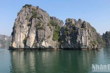 附图。