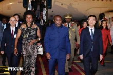 越南与布隆迪友好合作关系【图表新闻】